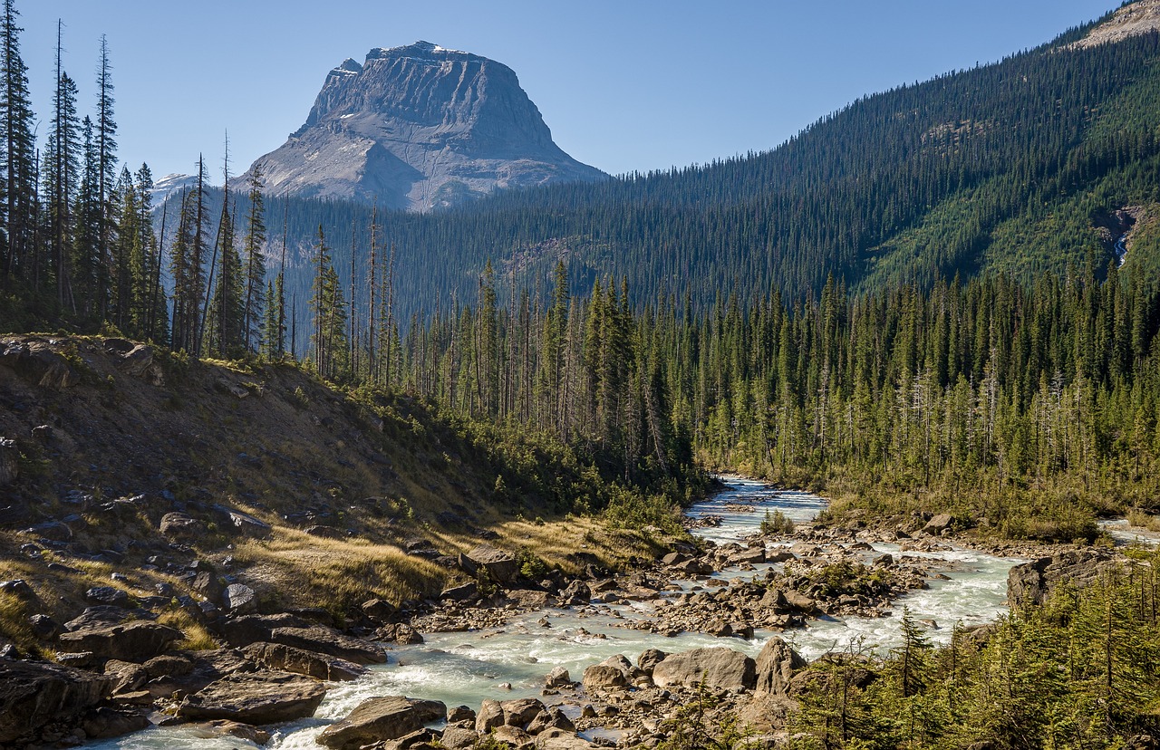 Scenic Beauty and Landscapes