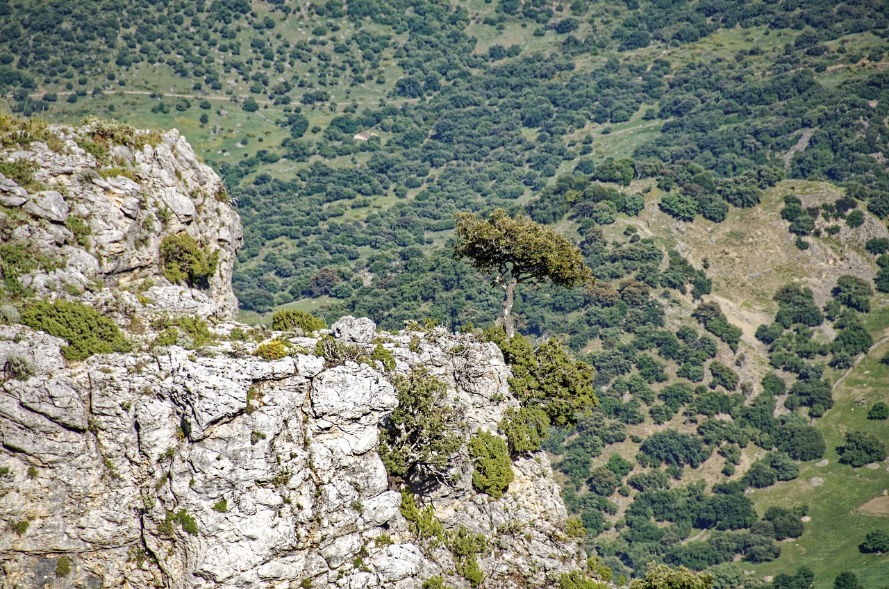 Vive la Experiencia Única de Viajar por España