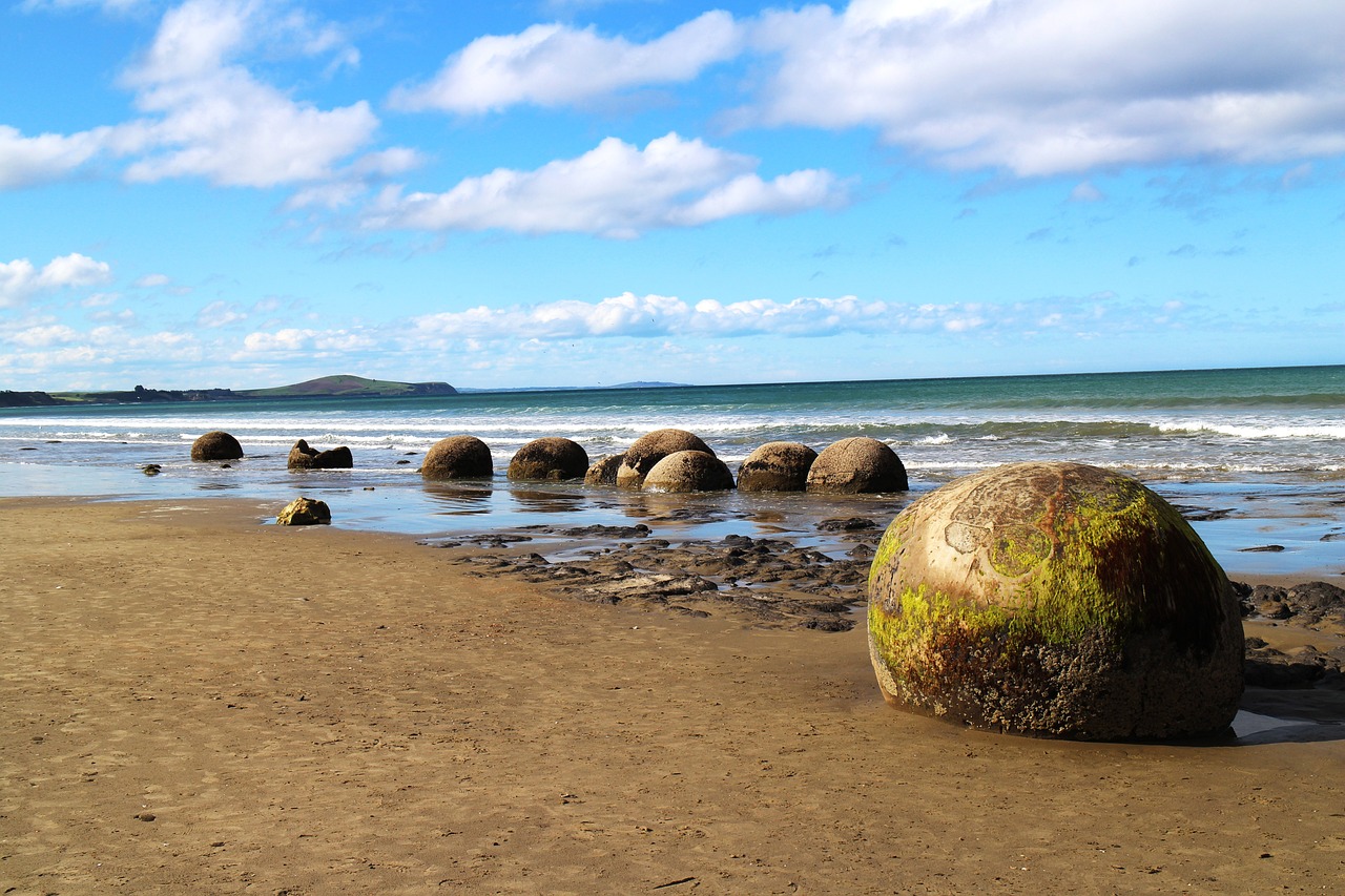 Coastal Treasures