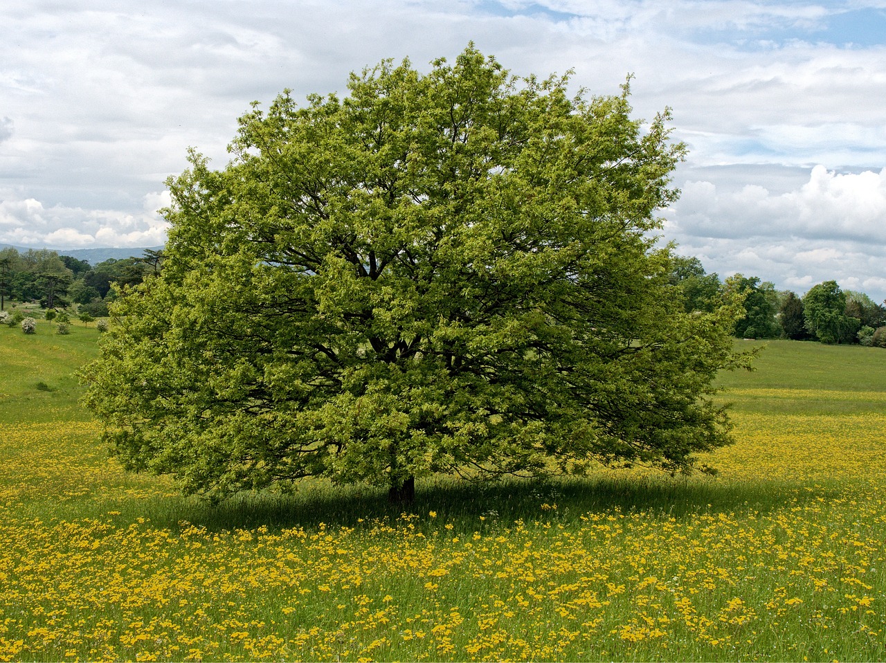 Discover the Charm of England's Countryside