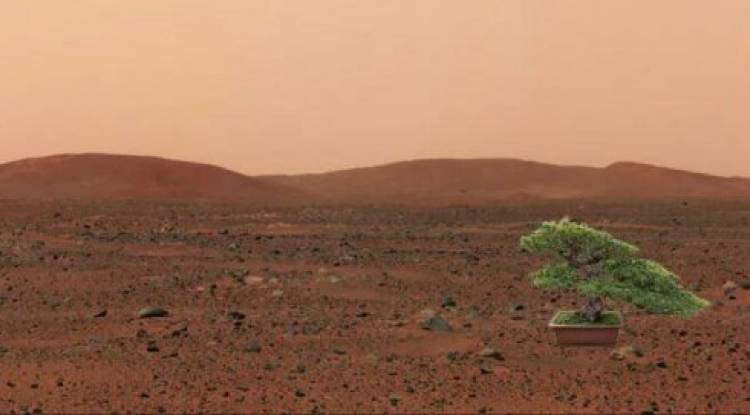 mars